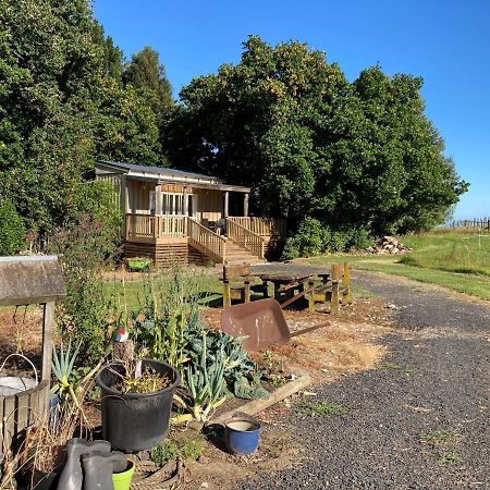 Vila The Treehut Ohauiti Exteriér fotografie