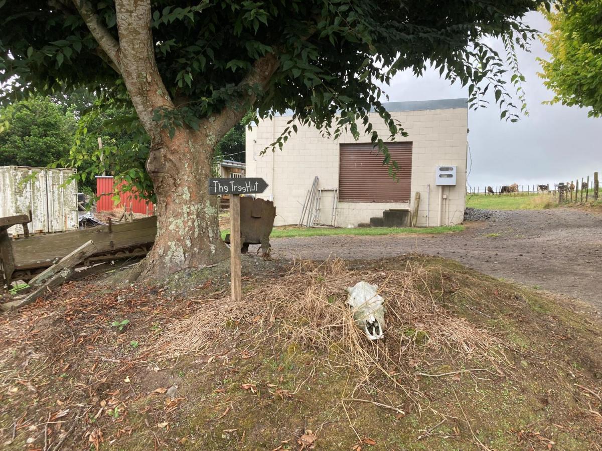 Vila The Treehut Ohauiti Exteriér fotografie